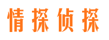 鸡东调查公司